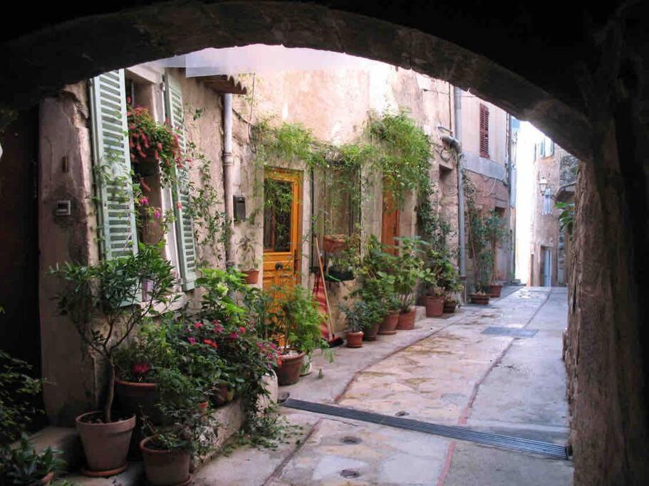 Studio Calme Et Agreable Avec Acces Jardin Partage Le Bar-sur-Loup Exterior photo
